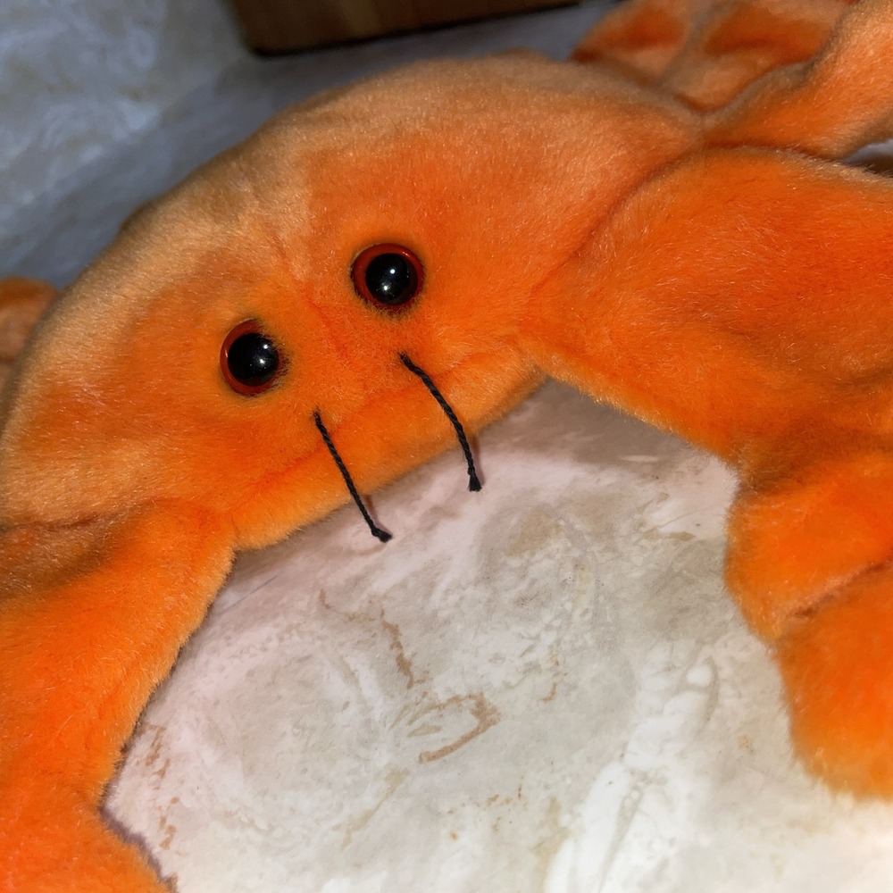 Vintage Error Rare Retired 1999 TY Digger Beanie‎ Buddies Orange Crab 15"